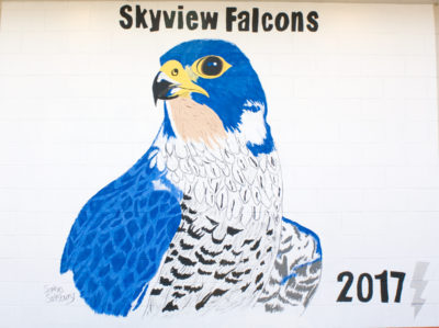 skyview_1200