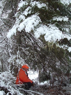Terry Palm, pictured on one of his many adventures as an adult